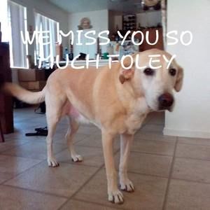 Meet your Posher, Collin